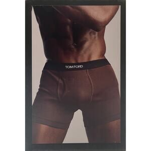 M2-79 TOM FORD NWT Men's Cotton Trunk Underwear Tan Large